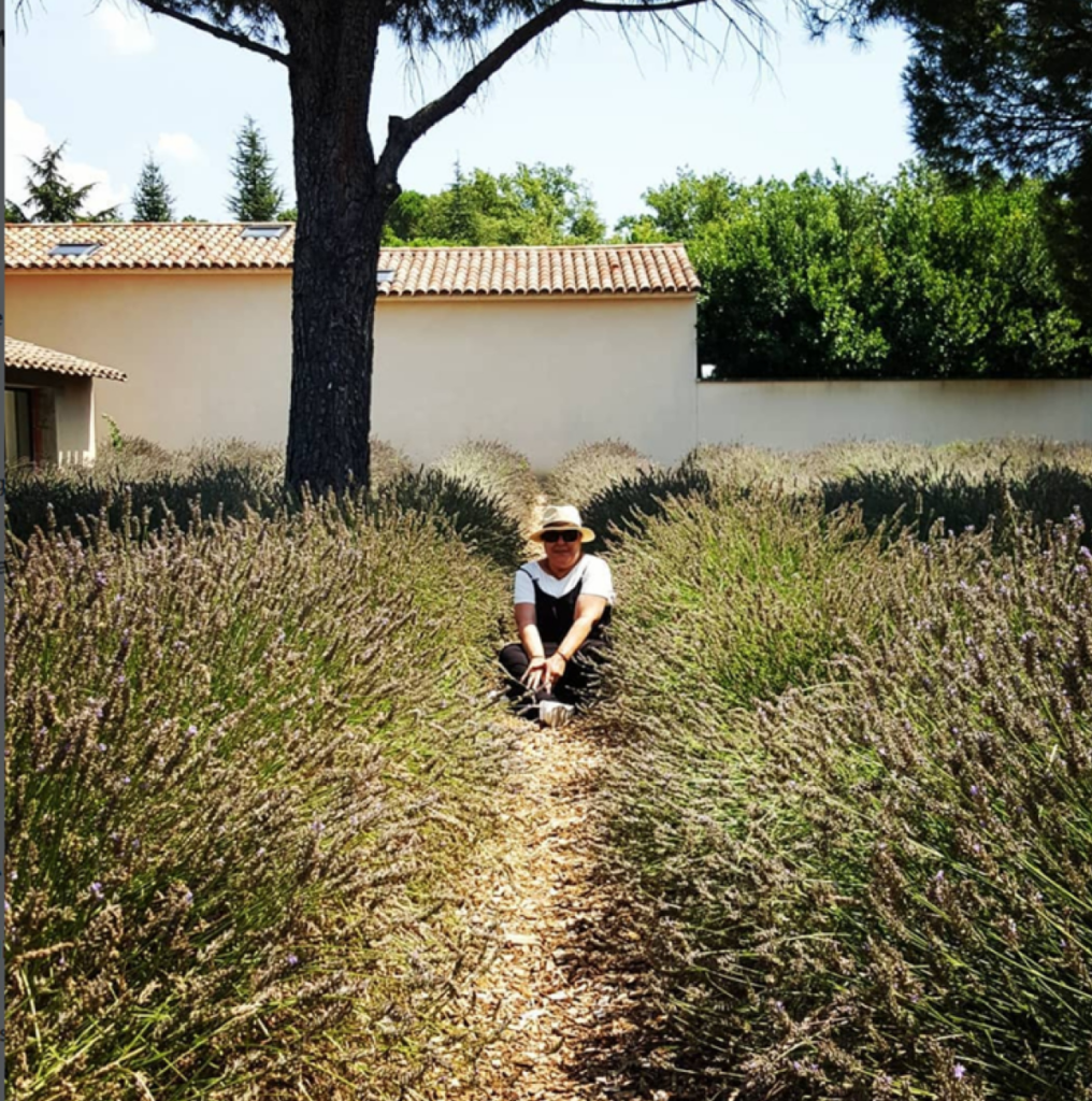 Enjoy the beautiful lavender fields in Caoustellet, France.  Musee de la Lavande in Coustellet